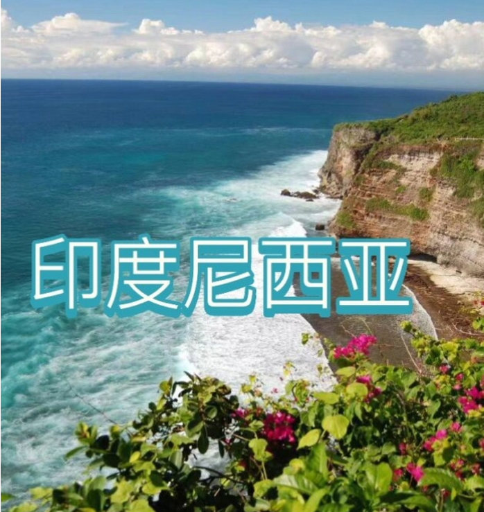 国际电商(印尼)产业博览会不朽情缘平台2025中国(图2)